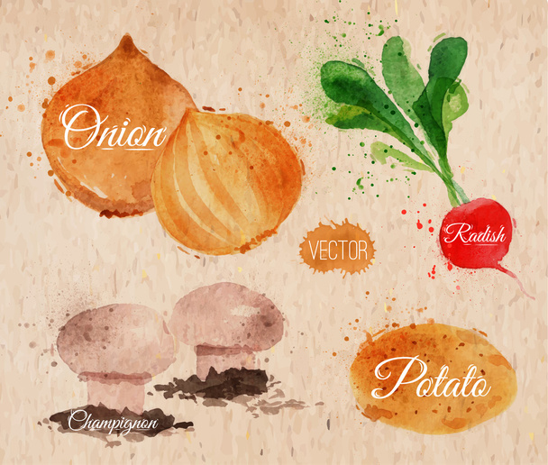 groenten aquarel radijs, uien, aardappelen, Kweekaccessoires kraft - Vector, afbeelding