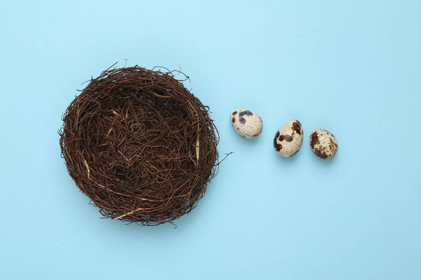 Quail eggs in a nest on a blue pastel background. Easter concept. Top view - Φωτογραφία, εικόνα