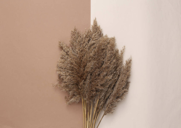 Floral σχεδιασμός από Reeds φυλλώματα κλαδιά μπουκέτο ή πάμπας γρασίδι σε μπεζ καφέ φόντο. Επίπεδο lay, πάνω όψη - Φωτογραφία, εικόνα