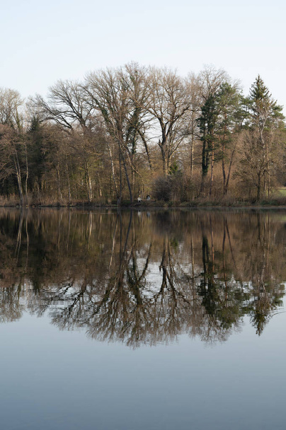 Een verticaal schot van de bomen weerkaatst in het meer - Foto, afbeelding