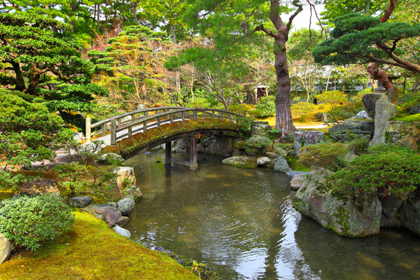 gyönyörű japán kert - Fotó, kép