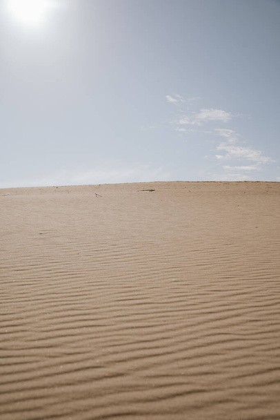 A vertical shot of sand dunes in a desert - Foto, immagini