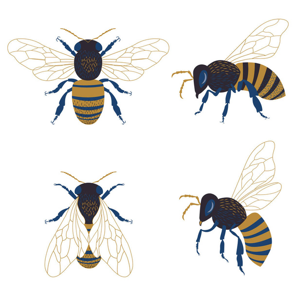 Колекція кліпартів для медоносних бджіл
. - Вектор, зображення