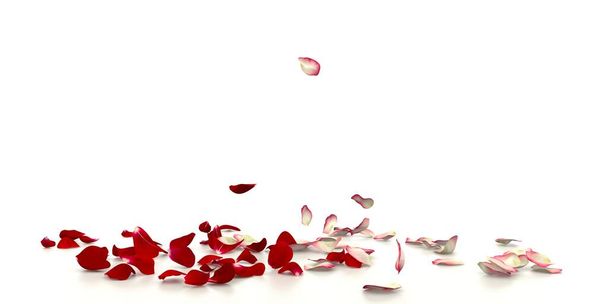 Fehér és vörös rózsaszirmok repülnek és leesnek a reflektív padlóra. Fehér háttér. Ünnepi virágkészítés - Fotó, kép