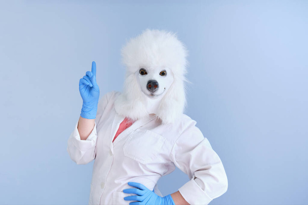 Jovem mulher em uma máscara de cabeça de cão de látex e casaco branco fazendo ideia sinal de mão em um fundo azul. Médico conceitos veterinários médicos. - Foto, Imagem