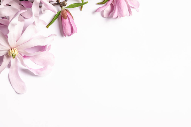 Beautiful magnolia flowers on white background, top view - 写真・画像