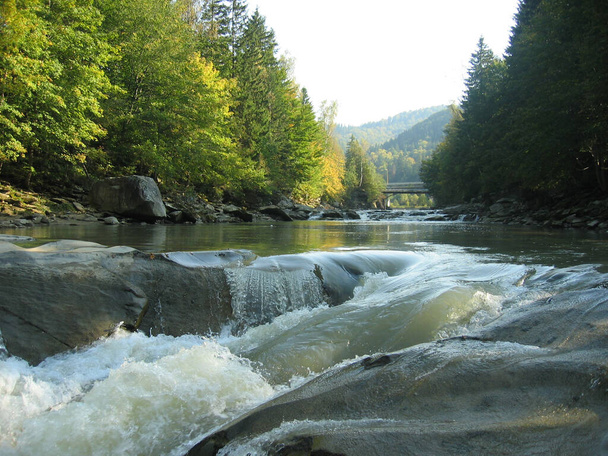 Mountain joki kivinen kanava ja nopea virtaus vettä, joka heijastaa puita syksyllä lehtien ja harmaa taivas, Karpaatit. Prut-joki taustalla vuoret umpeen kuusia ja puita, kiviä joen rannalla  - Valokuva, kuva