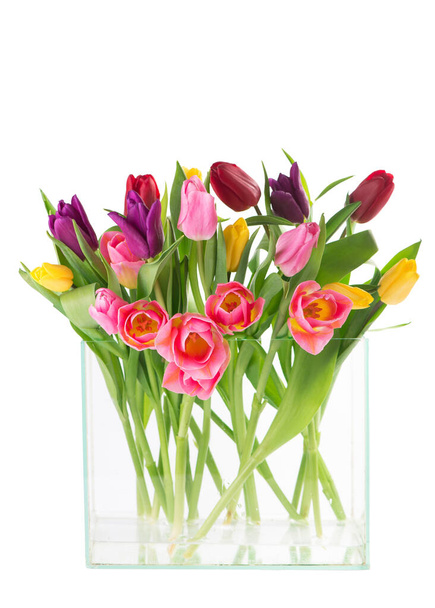 Many beautiful colorful tulips with leaves isolated. - Foto, imagen