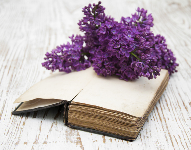 Old Book  and lilac branch - Fotó, kép