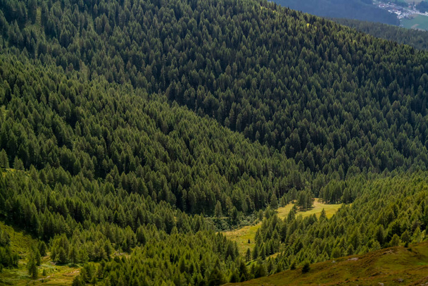 beautiful landscape with mountains and forest - Valokuva, kuva