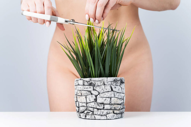 A naked faceless woman cuts a bush. Epilation of the bikini zone on a white background - Zdjęcie, obraz