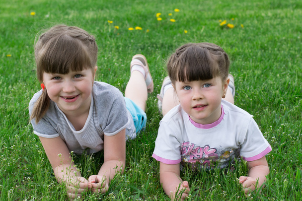 草の上の 2 つの小さな女の子 - 写真・画像