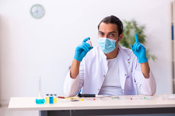 Νεαρός άνδρας χημικός που εργάζεται στο εργαστήριο κατά τη διάρκεια πανδημίας - Φωτογραφία, εικόνα