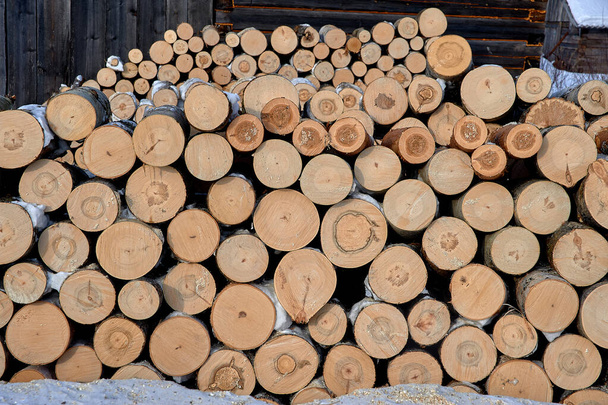 Rundstämme, aufgelegtes Brennholz, eine Art Querschnitt aus Rundstämmen verschiedener Baumarten - Foto, Bild