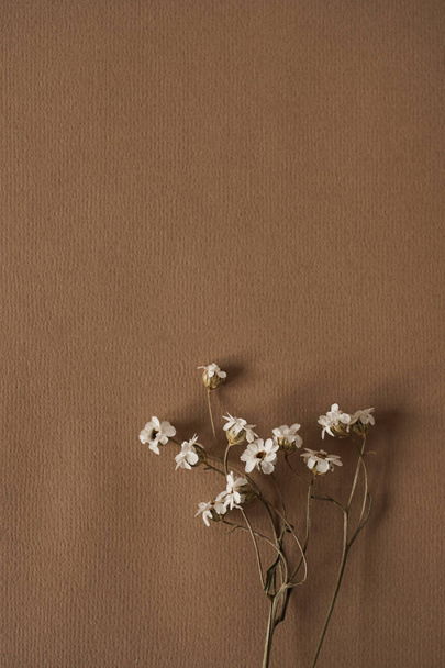 Estética composición plana laica de hermoso ramo de flores silvestres blancas sobre fondo marrón profundo - Foto, imagen