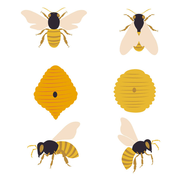 Collection d'éléments de conception apicole. - Vecteur, image