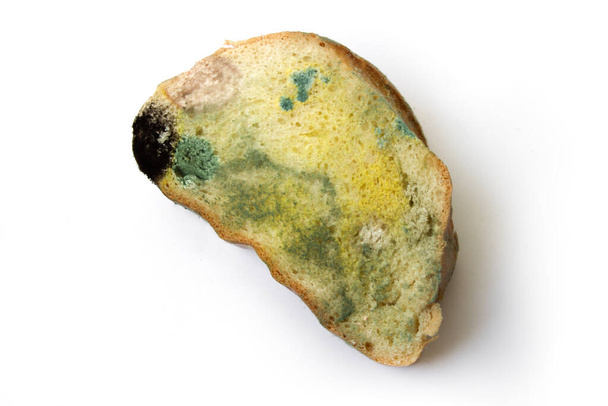 Vecchio pane marcio viziato su un backgroun bianco - Foto, immagini