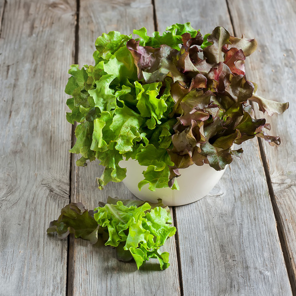 Salada verde
 - Foto, Imagem