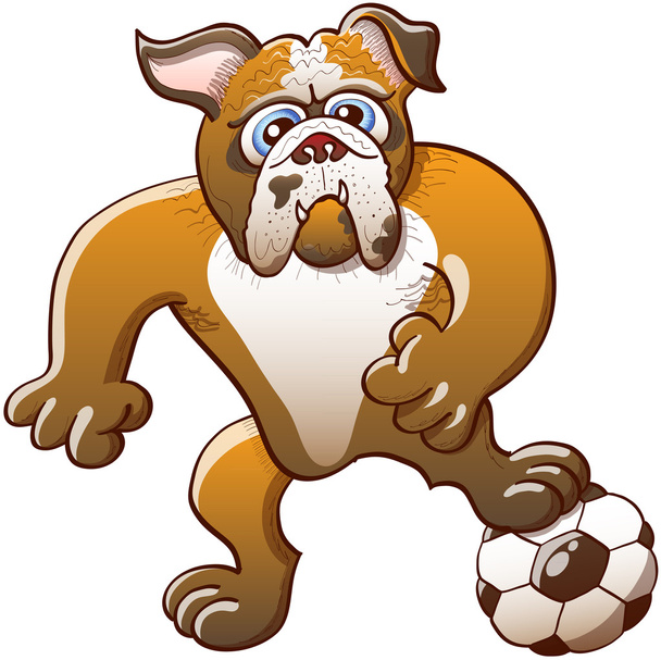Bulldog pisando una pelota de fútbol
 - Vector, imagen