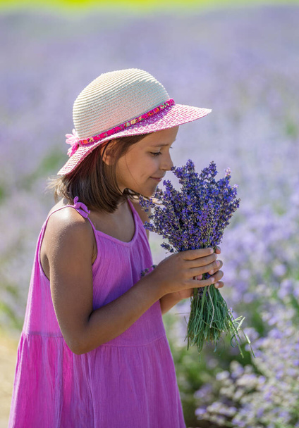Portrait of little girl sniffing flowers in the lavender field. - Photo, image