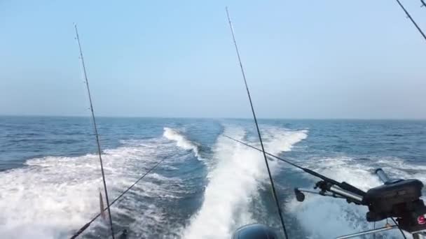 Free Stock Videos of Fishing boat, Stock Footage in 4K and Full HD