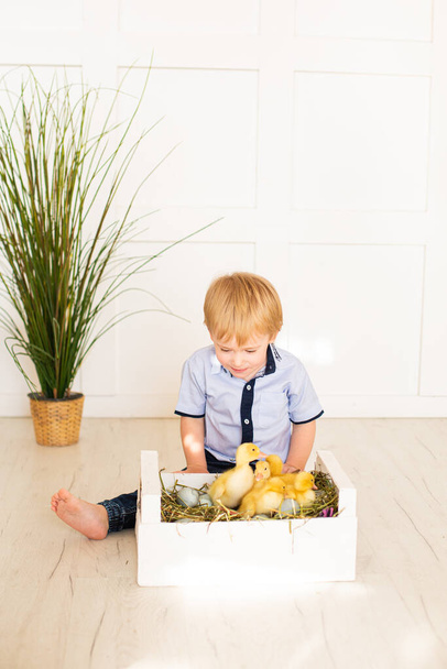 Милые дети, мальчик, играют с утками - Фото, изображение