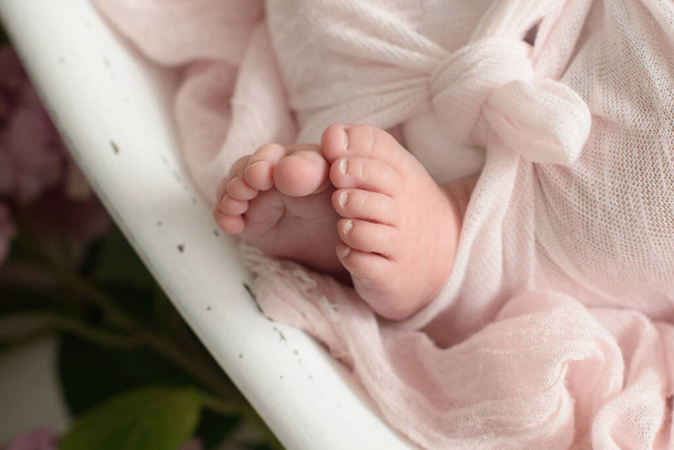 Мягкие ножки новорожденного против розового одеяла. - Фото, изображение