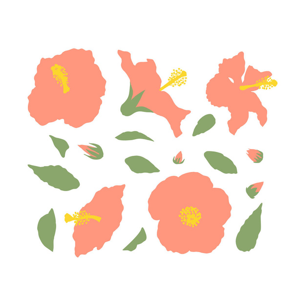 Minimaalinen tasainen vaaleanpunainen hibiscus kukkia ja lehtiä asetettu eristetty valkoisella taustalla - Vektori, kuva