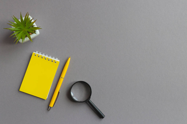 Business flat lay with notepad, pen, magnifying glass and succulent plant on gray table with copy space. Searching ideas. Trendy yellow-gray colors - Foto, Imagen