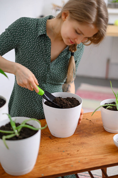 Дівчина пересаджує рослини вдома в білих горщиках
 - Фото, зображення