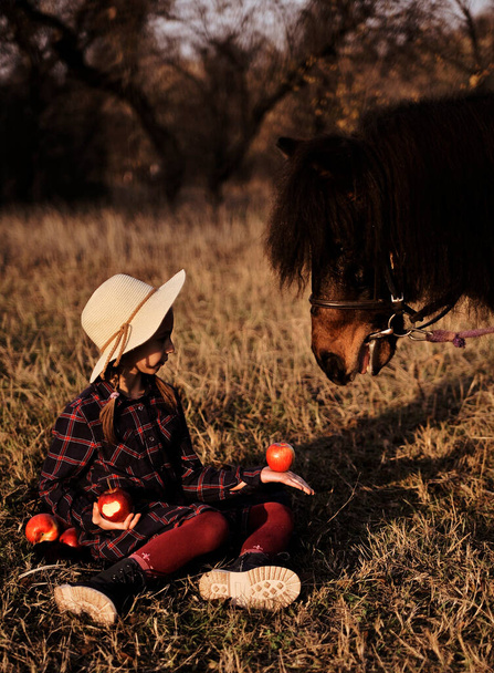 Petite fille joue avec le cheval dans la forêt. Fille nourrir des pommes aux poneys à l'extérieur.  - Photo, image