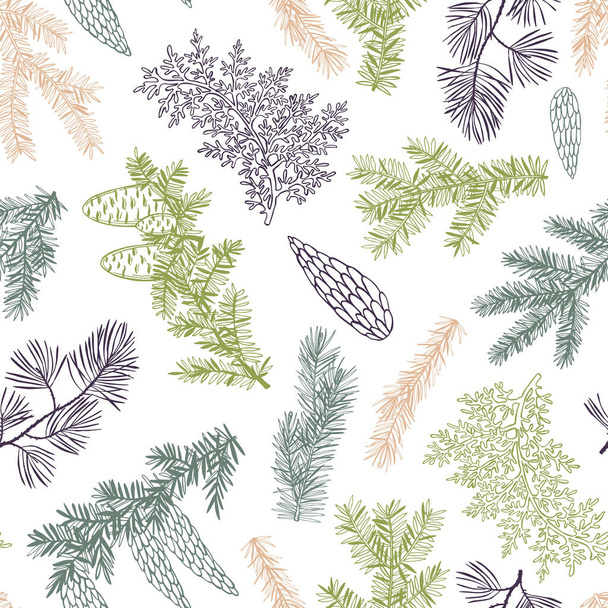 Vektornahtloses Muster mit handgezeichneten Ästen und Zapfen von Nadelbäumen. Weihnachtspflanzen.  - Vektor, Bild