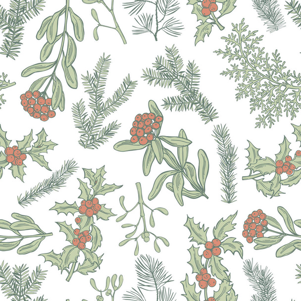 Vektor nahtloses Muster mit handgezeichneten Weihnachtspflanzen - Vektor, Bild