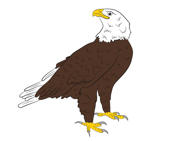 Cartoon wilder Adler isoliert auf weißem Hintergrund. - Vektor, Bild