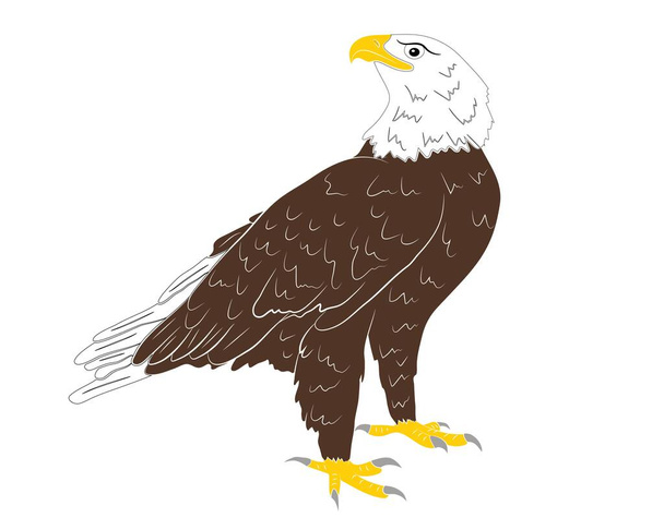 Dibujos animados águila salvaje aislado sobre un fondo blanco. - Vector, imagen