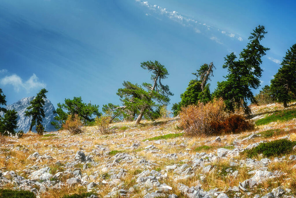 En la cima del Agion Oros (Monte Athos) en Grecia. Paisaje de montaña y naturaleza tranquila. - Foto, imagen