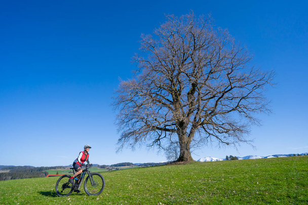 donna anziana in mountain bike su una e-mountainbike all'inizio della primavera sotto un enorme vecchio albero con il Monte Hochgrat innevato sullo sfondo, nell'area di Allgaeu, una parte delle Alpi bavaresi, Germania - Foto, immagini