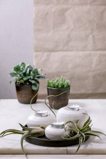Plant composition with tillandsia air and craft ceramic porcelain candle holders on dark plate, different succulent plants behind on white marble table. Interior decor, green houseplants, urban plants - Photo, image