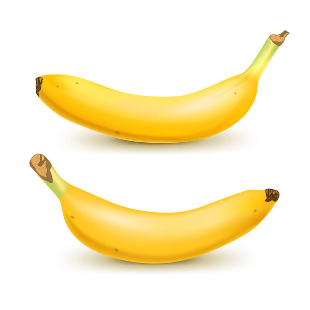 Set of 2 realistic bananas isolated on white background.. Tropical fruits. 3D vector illustration - Vetor, Imagem