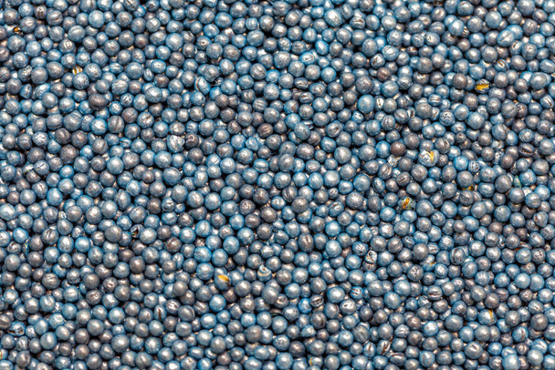 Макро. Оброблені насіння ріпаку синього кольору в чашці Петрі в лабораторії
 - Фото, зображення