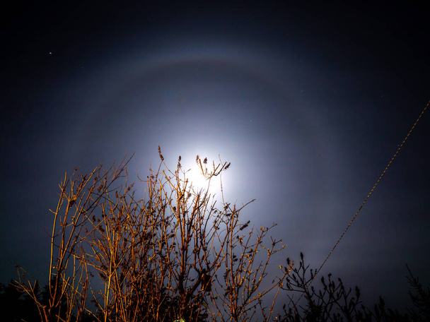 Ayın etrafında ışık halkası - Fotoğraf, Görsel