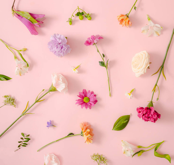 Kreatywne tło kwiatu. Różne wiosenne kwiaty na pastelowym różowym tle. Romantyczna koncepcja miłości. - Zdjęcie, obraz