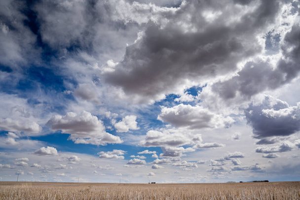 Canadian prairies harvested field under a cloudy dramatic sky in Rocky View County Alberta Canada. - Fotografie, Obrázek