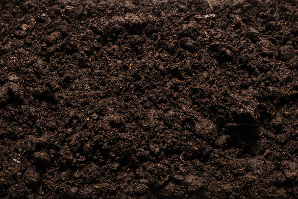 Black land for plant background. Top view.  - Photo, image