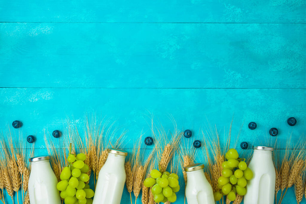 Zsidó ünnep Shavuot ünneplés koncepció tejes üveg, búza fül és szőlő fa kék asztal háttér - Fotó, kép