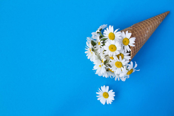 青い背景にシャモアのあるアイスクリームコーン。トップビュー。コピースペース春または夏の花のコンセプト. - 写真・画像