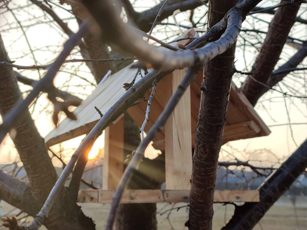 Maison d'oiseaux en bois sur l'arbre - Photo, image