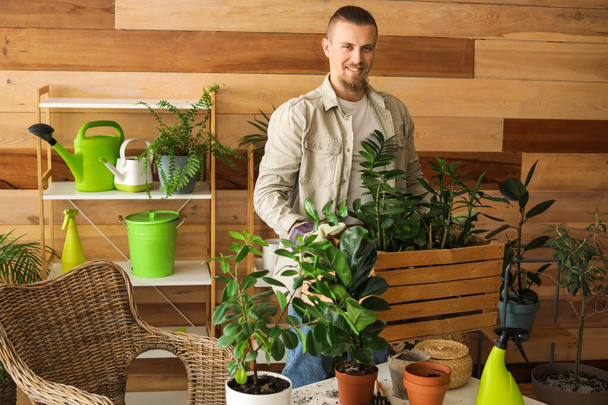 Young man taking care of plants at home - Foto, Bild