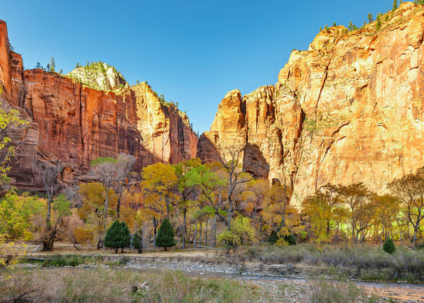 Hermosos paisajes, vistas de rocas increíblemente pintorescas y montañas en el Parque Nacional Zion, Utah, EE.UU. - Foto, imagen