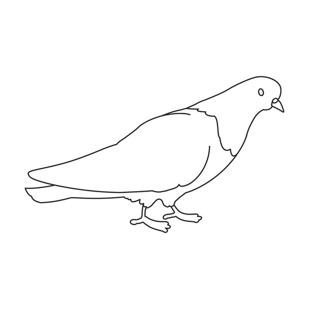 Dove vector outline icon. Vector illustration pigeon on white background. Isolated outline illustration icon of dove . - Vecteur, image